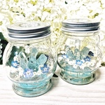 【本物のネモフィラ】🌿Special Crystal… Nemofwira Baby blue eyes 🌿 水晶とネモフィラ【只今ネモフィラ大きいです】