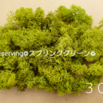 アイスランドモス＊スプリンググリーン３０g