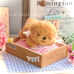 おパンツカットちゃんはお昼寝中…zzz