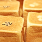 見ていただいた方必見！おまかせキューブパン12個セット