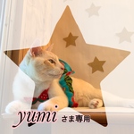 ☆yumiさま専用☆