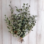 ユーカリスワッグ