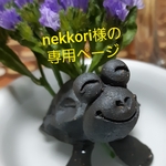 nekkori様の専用ページ
