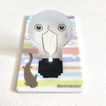 ピカッとビロコウ　ビックリ顔
