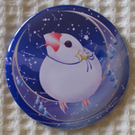 『星読文鳥』のコンパクトミラー