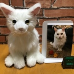 ami様オーダーメイド品(白猫成犬)