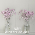 neko.0402babyさま専用です♡
