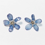 ブルースター　本物のお花のアクセサリー　ピアス　イヤリング