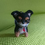 オーダー品 チワワ ブラックタン ストラップ 羊毛フェルト