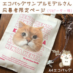 エコバッグサンプルモデルさん応募者限定ページ【A4エコバッグ】