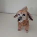 muku0525様専用  羊毛フェルト