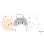専用ページ