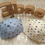 【再販☆即納品❣️】ひんやり冷感夏マスク２枚セット(Sサイズ)R-3