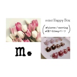 mini Happy Box ♡ ｽﾄｯｸさんとﾋﾞｵﾗさん