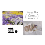 Happy Box ♡ ﾎﾟﾆｰﾌｯｸ と耳飾り（ピアス）