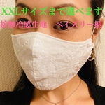SALE☆7/26まで 夏用　接触冷感　送料無料　おしゃれマスク　レースマスク　刺繍レース　夏マスク　フィルターポケット　大きめ　かわいい　小池都知事　ペイズリー