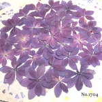 ♡new♡可愛い紫陽花♡ 作家様必見♡紫陽花の押し花セット♡