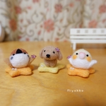 【再販・ご依頼品】星遊びの仲間たち⭐️