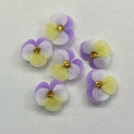 受注生産☆樹脂粘土☆ビオラ☆パーツ☆12