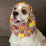 再販商品❤︎ポップコーン柄　イエロー　中型犬用スヌード　犬用スヌード
