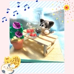☆金魚鉢と猫ちゃん