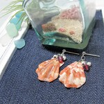 【送料無料】飾りビン付き シェルピアス
