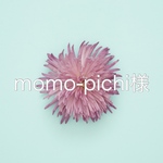 momo-pichi様オーダー