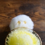 【限定】かき氷タイプ(レモン味) ケサランパサラン ぬいぐるみ