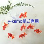 手染めの小さな金魚（ﾌﾞﾛｰﾁ）