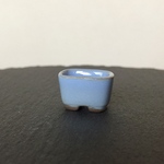 小さな小さな盆栽鉢