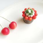 【さくらんぼのピンクッション 】(リース🍒)ちいさな巾着付き ↟