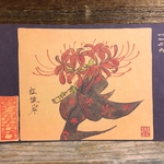 ポストカード １１２９番目「紅彼岸」