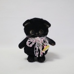黒のスコティッシュフォールドさん