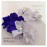 pman1978さま 専用出品