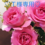 Ｔ様  専用