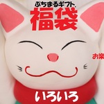 あれこれがいっぱい❤福袋 　A