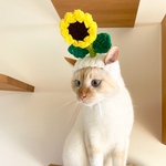 頭に咲かせてみませんか？