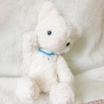 shirocyann様専用出品＊特注＊ちむぐるみシリーズ＊白ねこちゃん＊