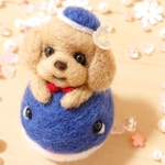 羊毛フェルト 夏くじら プードル ✩.*˚ トイプードル 夏 海 ぬいぐるみ ハンドメイド