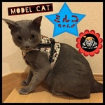 猫ちゃん用ハーネス(猫ちゃん小柄)M－Lサイズ