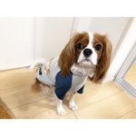 フード付きTシャツ