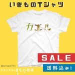 【SALE】送料込み！生き物Tシャツ　キャンプ・アウトドア　　【カエルフォント】