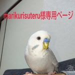 marikurisuteru様専用