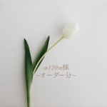 sn120sn様~オーダー分~