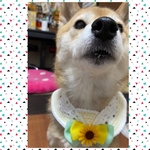 y様専用★2点おまとめ
