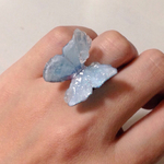 氷の蝶。リング