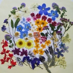 【ワンコイン/押花】押し花カラフルセット 花かんざし