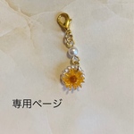 monamona15様専用ページ＊マスクチャーム