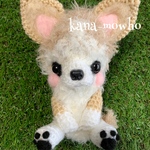 ＊momotaro0510様オーダー品 ふわもこ あみぐるみ ワンちゃん(チワワ)＊