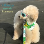 ハーネス☆ ハイビスカス ハーネス（エメラルド）リード・タッセル 3点セット 夏ハーネス  犬猫 大型犬もOK 